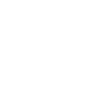 Spanish Village logo