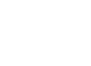 Aram Village 2 logo